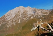 Cima Foppazzi (2097 m) e Cima Grem (2049 m) da Alpe Arera - 2ott23 - FOTOGALLERY